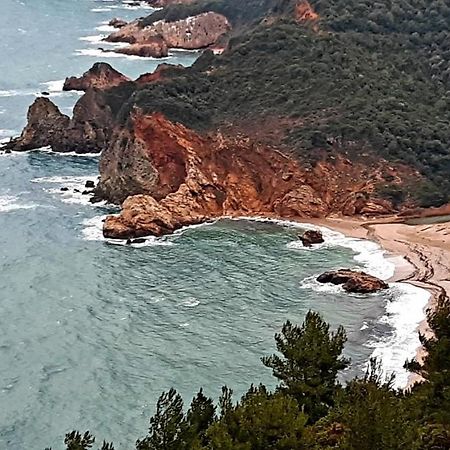 Olga Paltsi Rooms Πάλτση Πηλίου Εξωτερικό φωτογραφία