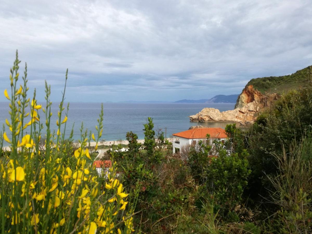 Olga Paltsi Rooms Πάλτση Πηλίου Εξωτερικό φωτογραφία